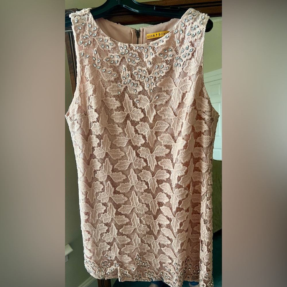 Alice + Olivia Elegant Lace Sleeveless Dress with Crystal Embellishments